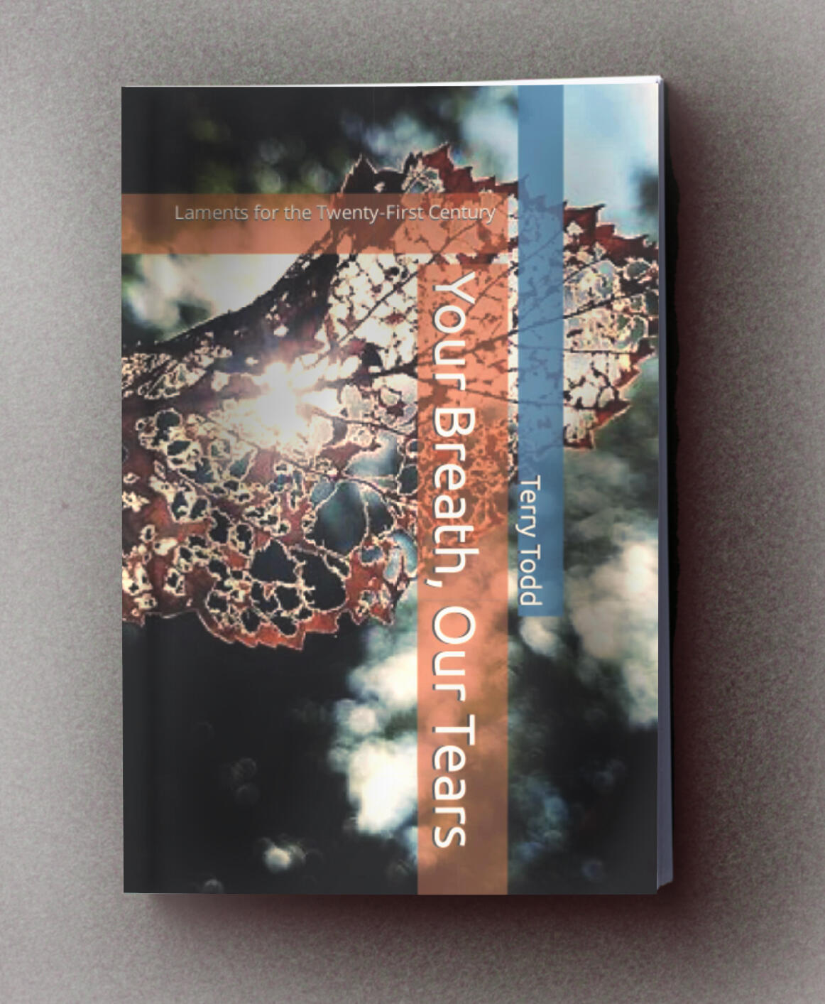 YOUR BREATH, OUR TEARS: LAMENTS FOR THE TWENTY FIRST-CENTURY (CONTRIBUTING AUTHOR) Book cover with light shinning through broken fall leaf